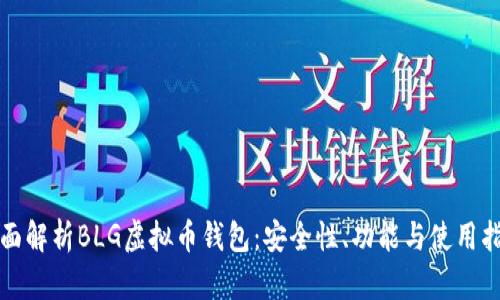 全面解析BLG虚拟币钱包：安全性、功能与使用指南