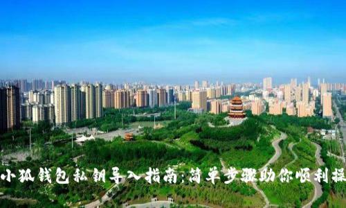 : 小狐钱包私钥导入指南：简单步骤助你顺利操作