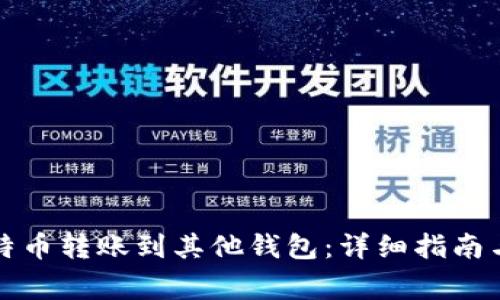 如何将比特币转账到其他钱包：详细指南与注意事项
