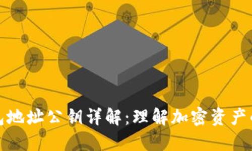 以太坊钱包地址公钥详解：理解加密资产的关键所在