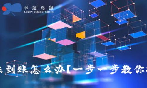 小狐钱包未到账怎么办？一步一步教你排查与解决