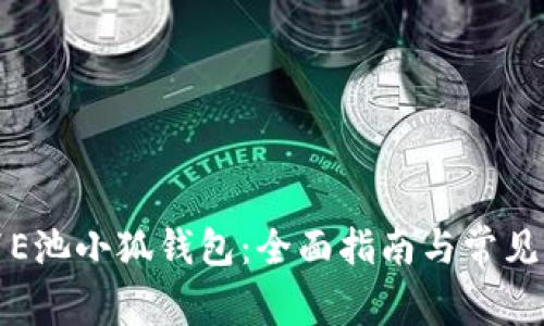 如何设置E池小狐钱包：全面指南与常见问题解答
