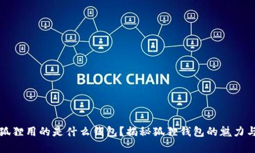 半只狐狸用的是什么钱包？揭秘狐狸钱包的魅力与选择