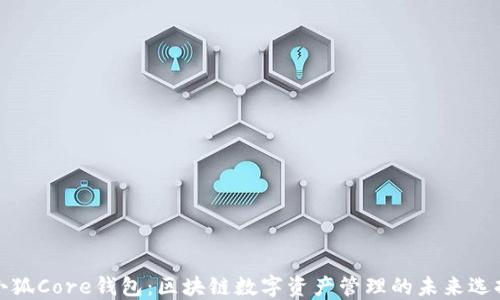 
小狐Core钱包：区块链数字资产管理的未来选择