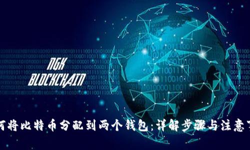 如何将比特币分配到两个钱包：详解步骤与注意事项
