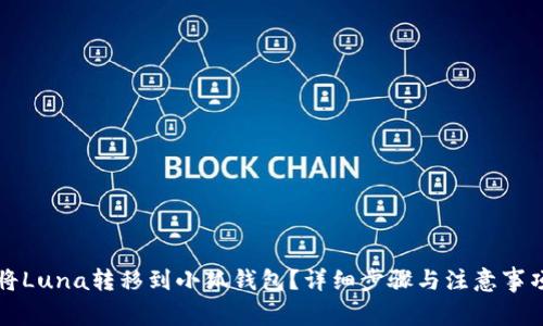 如何将Luna转移到小狐钱包？详细步骤与注意事项解析