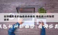 揭开虚拟币钱包的神秘面