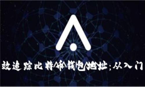 如何有效追踪比特币钱包地址：从入门到精通