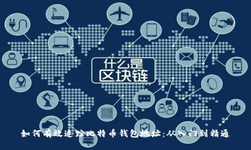 如何有效追踪比特币钱包地址：从入门到精通