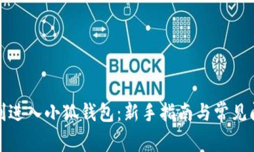 如何顺利进入小狐钱包：新手指南与常见问题解答
