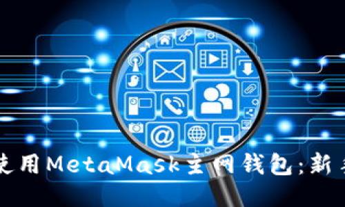 如何安全使用MetaMask主网钱包：新手必看指南