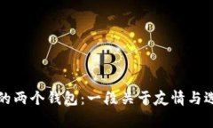 小狐和她的两个钱包：一