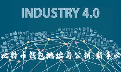 如何安全管理比特币钱包地址与公钥：新手必看的全面指南