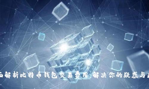 全面解析比特币钱包交易费用：解决你的疑惑与痛点