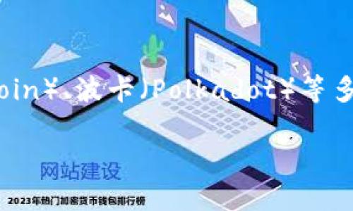 小狐钱包（Hoo Wallet）是一款多链数字资产钱包, 主要支持以太坊（Ethereum）、比特币（Bitcoin）、波卡（Polkadot）等多种公链的数字资产管理。用户可以通过小狐钱包方便地进行加密货币的存储、转账、交易等操作。

如果需要进一步的信息或者具体的使用指南，请告诉我！