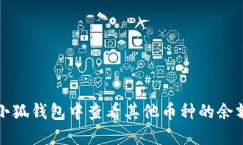 如何在小狐钱包中查看其他币种的余额和信息
