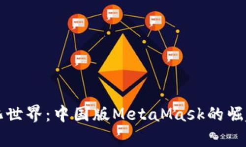解锁去中心化世界：中国版MetaMask的崛起与应用前景