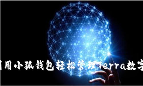 如何利用小狐钱包轻松管理Terra数字资产？