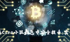 如何在Core小狐钱包中安全