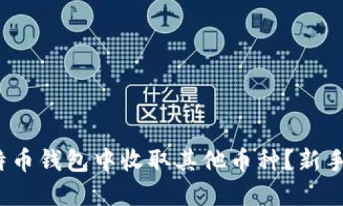  如何在比特币钱包中收取其他币种？新手攻略与技巧
