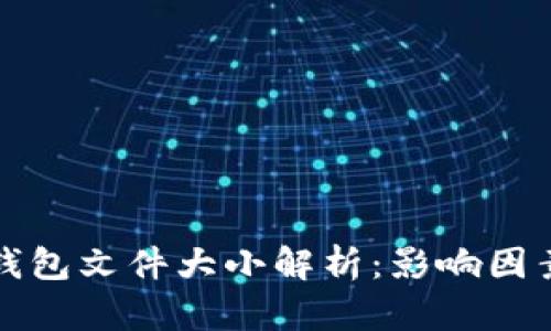 比特币钱包文件大小解析：影响因素与建议