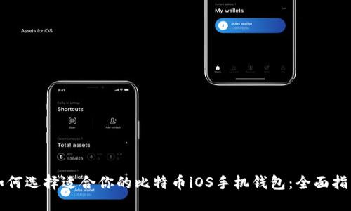 如何选择适合你的比特币iOS手机钱包：全面指南