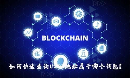 如何快速查询USDT地址属于哪个钱包？