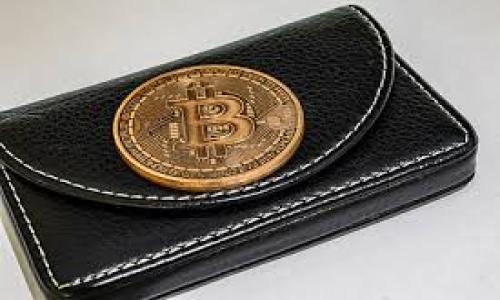能放比特币的钱包通常被称为“比特币钱包”或“加密货币钱包”。这些钱包可以分为几种类型，包括软件钱包、硬件钱包、纸钱包等。每种钱包都有其特点和用途，用户可以根据自己的需求选择合适的钱包来存储和管理比特币和其他加密货币。

1. **软件钱包**：通常是应用程序，可以安装在电脑或手机上，方便使用，但安全性相对较低。
2. **硬件钱包**：物理设备，安全性高，适合长期持有加密货币。
3. **纸钱包**：将私钥和公钥打印在纸上，离线存储，安全性较高，但不够方便。

用户应根据自己的需求、使用频率和安全要求选择合适的钱包类型。