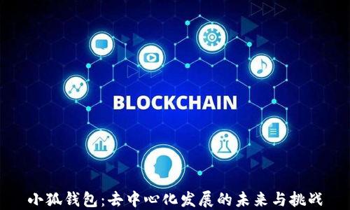 
小狐钱包：去中心化发展的未来与挑战