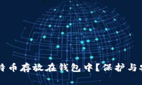 为什么将比特币存放在钱包中？保护与安全的全解析
