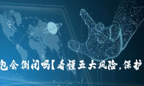 虚拟币钱包会倒闭吗？看懂五大风险，保护你的资产！