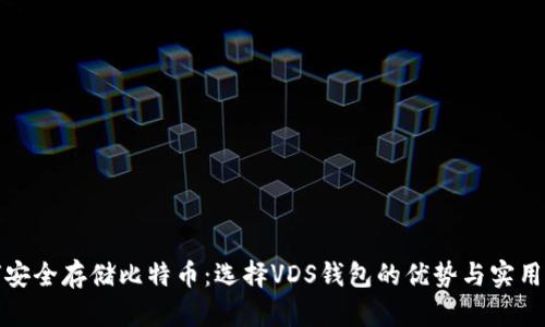 如何安全存储比特币：选择VDS钱包的优势与实用技巧