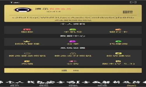 比特币个人钱包安全吗？全面解析及防护措施