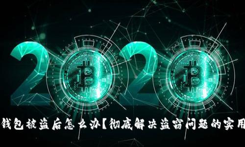 小狐钱包被盗后怎么办？彻底解决盗窃问题的实用指南