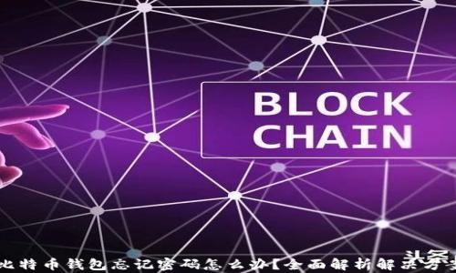 
比特币钱包忘记密码怎么办？全面解析解决方案