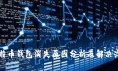 比特币钱包消失原因分析