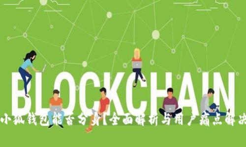 小狐钱包能否分身？全面解析与用户痛点解决