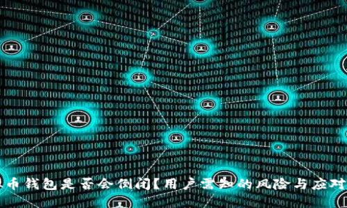 虚拟币钱包是否会倒闭？用户需知的风险与应对策略