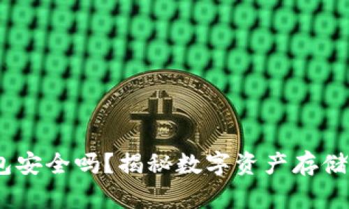 USDT不放钱包安全吗？揭秘数字资产存储的风险与对策