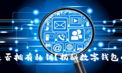 小狐钱包是否拥有私钥？揭秘数字钱包的安全之道