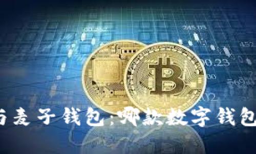 小狐钱包与麦子钱包：哪款数字钱包更适合你？
