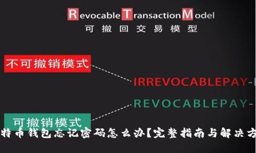 比特币钱包忘记密码怎么办？完整指南与解决方案