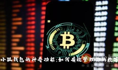 解锁小狐钱包的神奇功能：如何有效管理你的数字资产