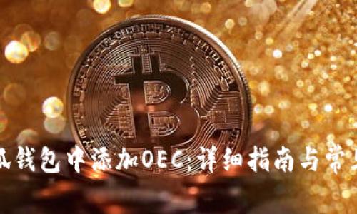 如何在小狐钱包中添加OEC：详细指南与常见问题解答