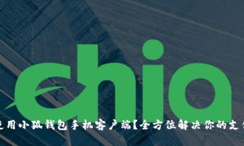 如何使用小狐钱包手机客户端？全方位解决你的支付难题