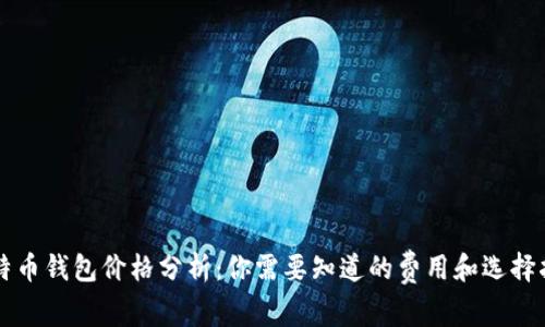 比特币钱包价格分析：你需要知道的费用和选择指南