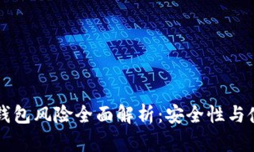 比特币钱包风险全面解析：安全性与使用指南
