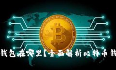 一般存比特币的钱包在哪