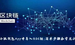 如何在小狐钱包App中导入BSC链：简单步骤和常见