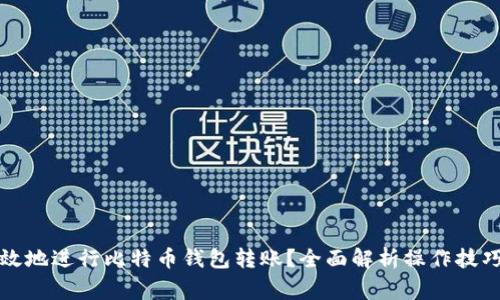 如何安全高效地进行比特币钱包转账？全面解析操作技巧和注意事项